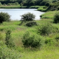 Deep Pit in July