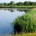 Slurry Lagoon