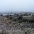 Frosty morning