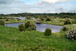 The Gravel Pits
