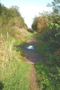 Lower Path, Ford