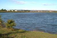 Slurry Lagoon